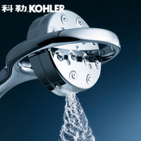 科勒(kohler) 随心转手持花洒-流线型 k-17493t-cp