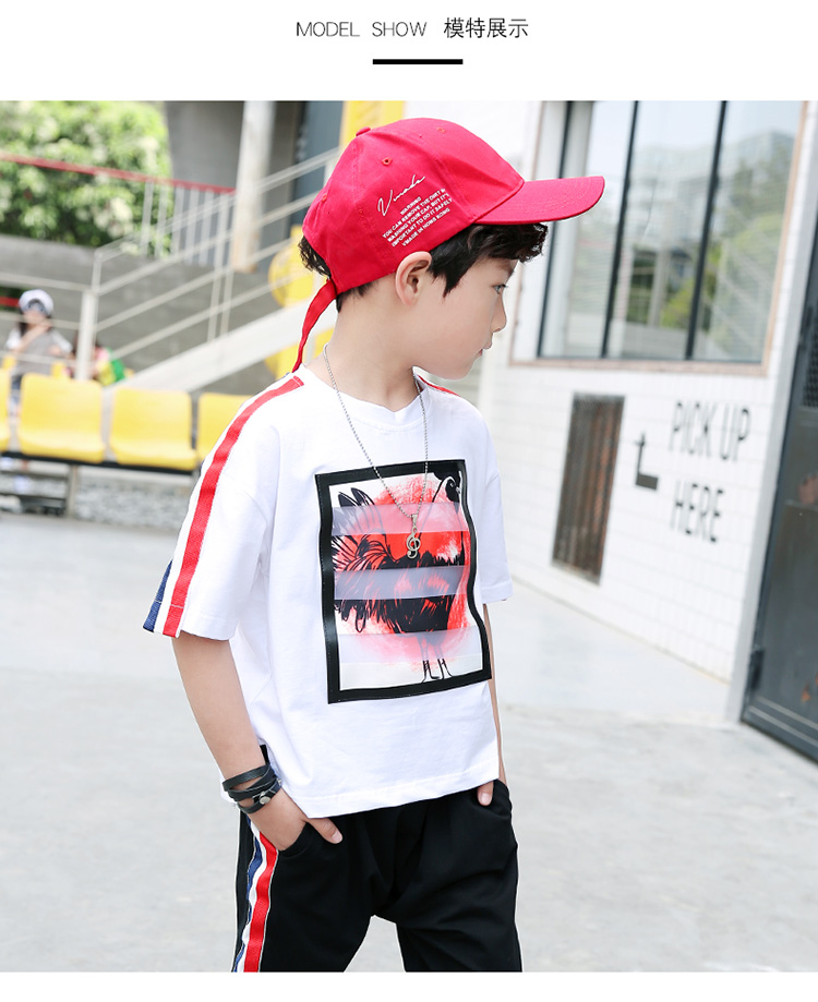 笛钰 夏季儿童套装3-12岁男童贴布公鸡印花短