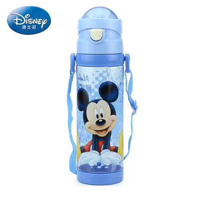 迪士尼(Disney)儿童水杯吸管杯水壶宝宝喝水杯