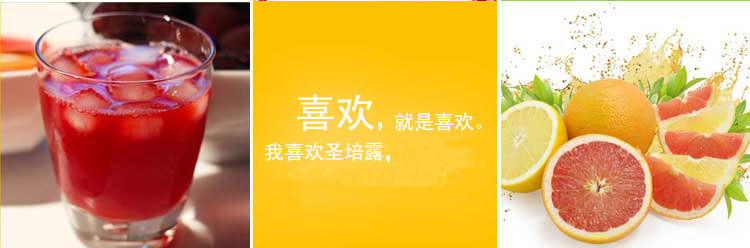 意大利进口 圣培露加糖果汁碳酸饮料 330ml*24瓶