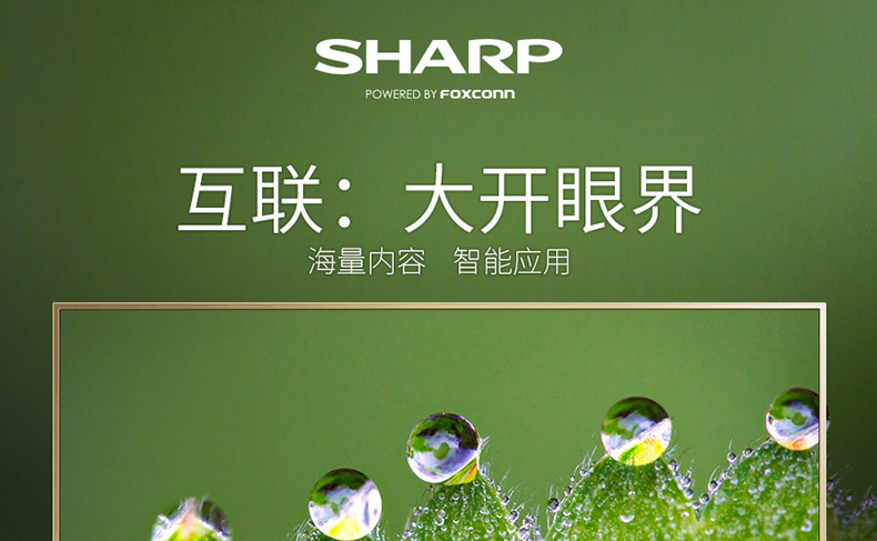 夏普\/SHARP\/LCD-60SU475A 60英寸4K高清网