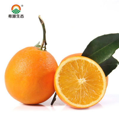 希源 赣南脐橙甜橙子5斤装 不打蜡无农药孕妇