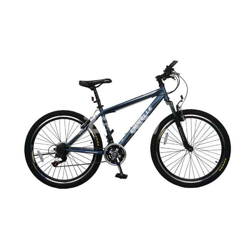 阿米尼山地车 荷兰小子