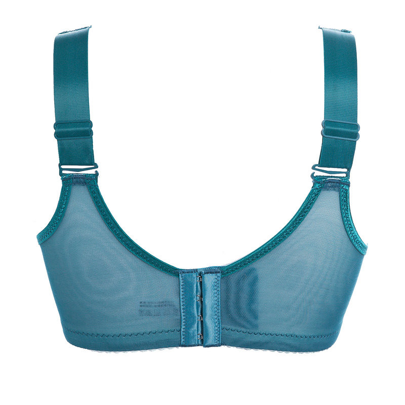 艾薇莉特无钢托聚拢收副乳性感女士内衣文胸厚模杯小胸必备 2445